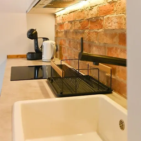 Gorski Apartament Garaz Sauna Wifi Tv Taras Ekspres Do Kawy Zakopane Exterior photo